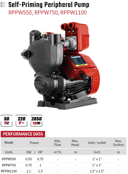 Self-Priming Peripheral Pump RPZGD550  RPZGD750